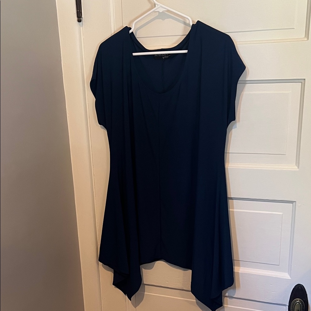 Attitudes by Renee Deep Blue Tunic Top